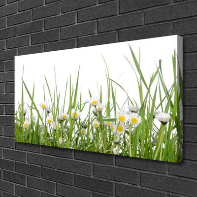 Slika canvas Grass Daisies Priroda