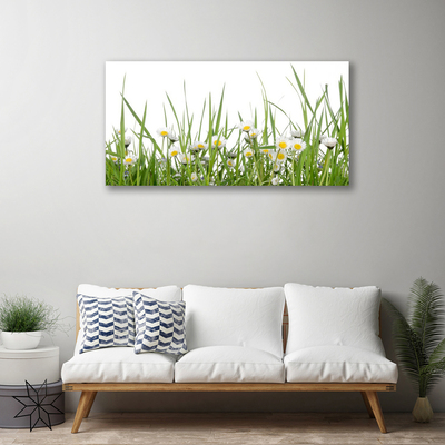 Slika canvas Grass Daisies Priroda