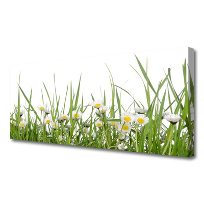 Slika canvas Grass Daisies Priroda