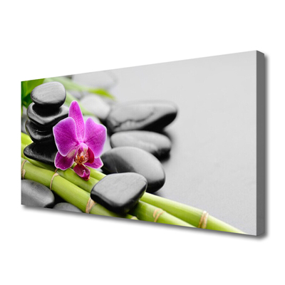 Fotografija na canvas platnu bambus Flower Stones Art