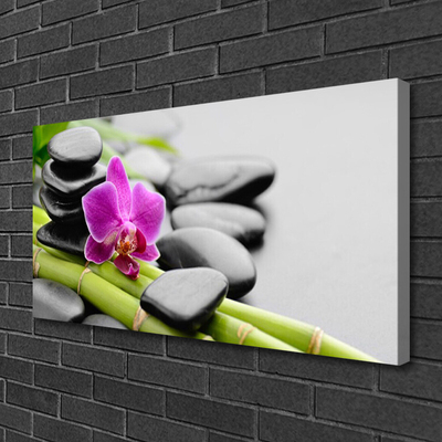 Fotografija na canvas platnu bambus Flower Stones Art