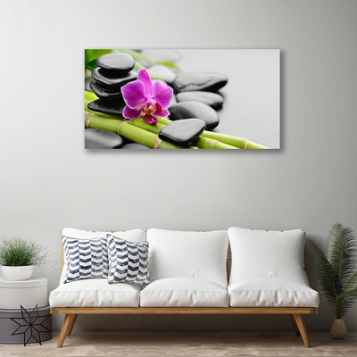 Fotografija na canvas platnu bambus Flower Stones Art