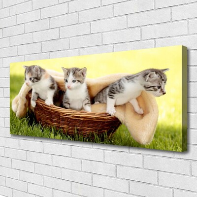 Fotografija na canvas platnu Mačke Životinje