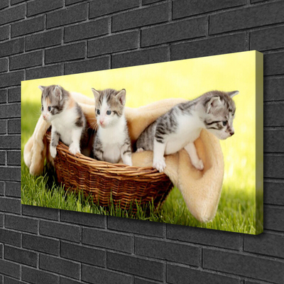 Fotografija na canvas platnu Mačke Životinje
