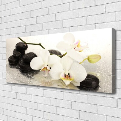 Slika canvas Cvijet prekrasne orhideje