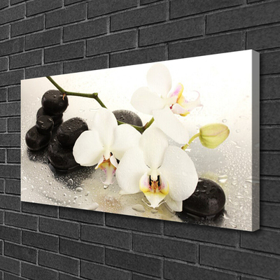 Slika canvas Cvijet prekrasne orhideje