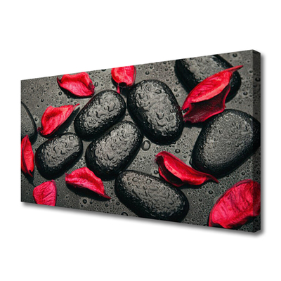 Foto slika na platnu Petals Stones Art