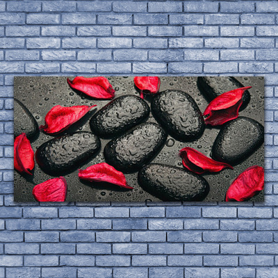 Foto slika na platnu Petals Stones Art