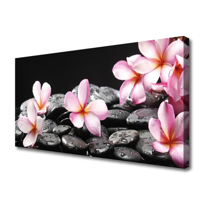 Slika canvas Plumeria cvijet za zid