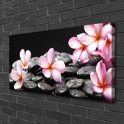 Slika canvas Plumeria cvijet za zid