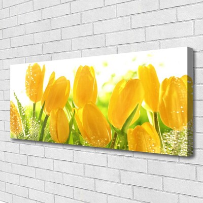Foto slika na platnu Tulipani Cvijeće Biljka