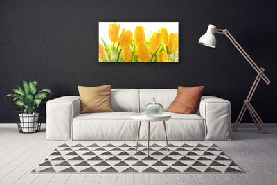 Foto slika na platnu Tulipani Cvijeće Biljka