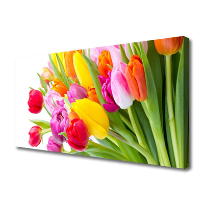 Slika na platnu Tulipani Cvijeće Biljka
