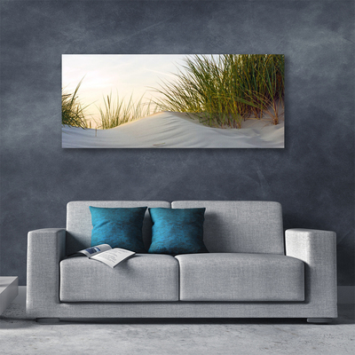 Foto slika na platnu Krajolik pješčane trave