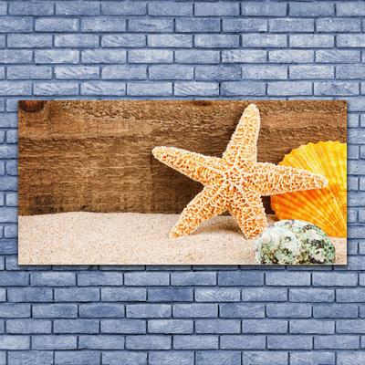 Slika na platnu Morska zvijezda od pijeska Art