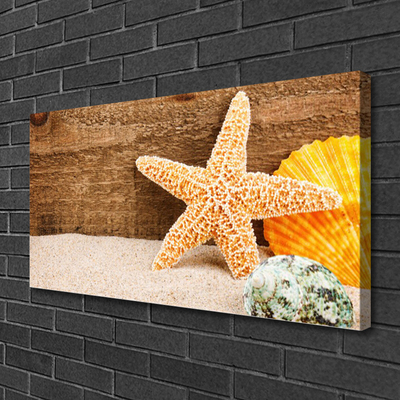 Slika na platnu Morska zvijezda od pijeska Art