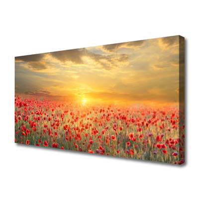 Foto slika na platnu Sunce Meadow Poppy Flowers