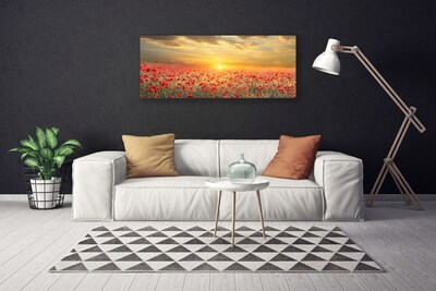 Foto slika na platnu Sunce Meadow Poppy Flowers