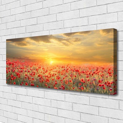 Foto slika na platnu Sunce Meadow Poppy Flowers