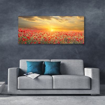 Foto slika na platnu Sunce Meadow Poppy Flowers