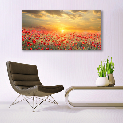 Foto slika na platnu Sunce Meadow Poppy Flowers