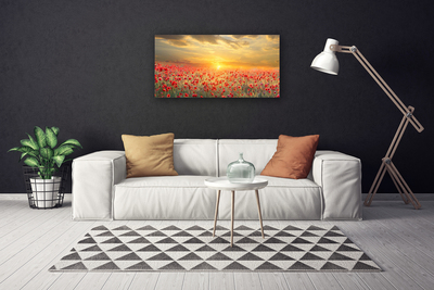 Foto slika na platnu Sunce Meadow Poppy Flowers