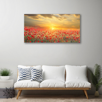 Foto slika na platnu Sunce Meadow Poppy Flowers