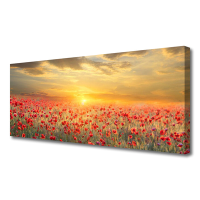 Foto slika na platnu Sunce Meadow Poppy Flowers