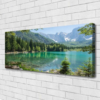 Slika canvas Planine Jezero Šuma Priroda
