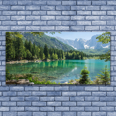 Slika canvas Planine Jezero Šuma Priroda