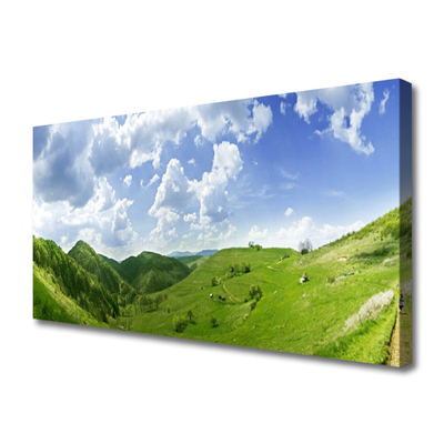 Slika canvas Mountain Meadow Nature Field