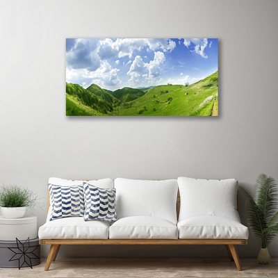 Slika canvas Mountain Meadow Nature Field