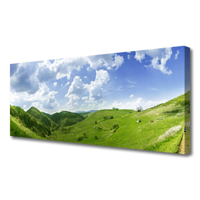 Slika canvas Mountain Meadow Nature Field