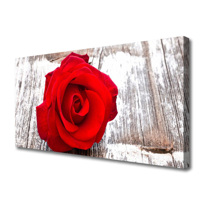 Slika canvas Rose Flower Biljna priroda