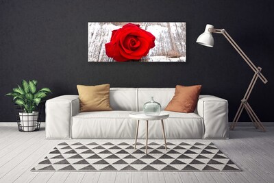 Slika canvas Rose Flower Biljna priroda