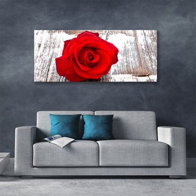 Slika canvas Rose Flower Biljna priroda