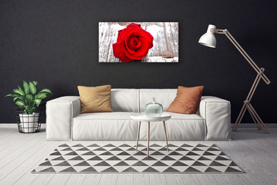 Slika canvas Rose Flower Biljna priroda