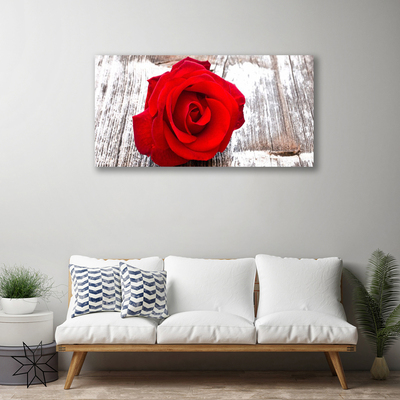 Slika canvas Rose Flower Biljna priroda