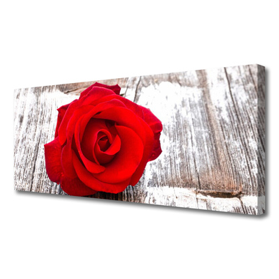 Slika canvas Rose Flower Biljna priroda