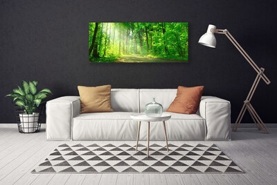 Slika canvas Šumska staza Drveće Priroda