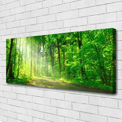 Slika canvas Šumska staza Drveće Priroda