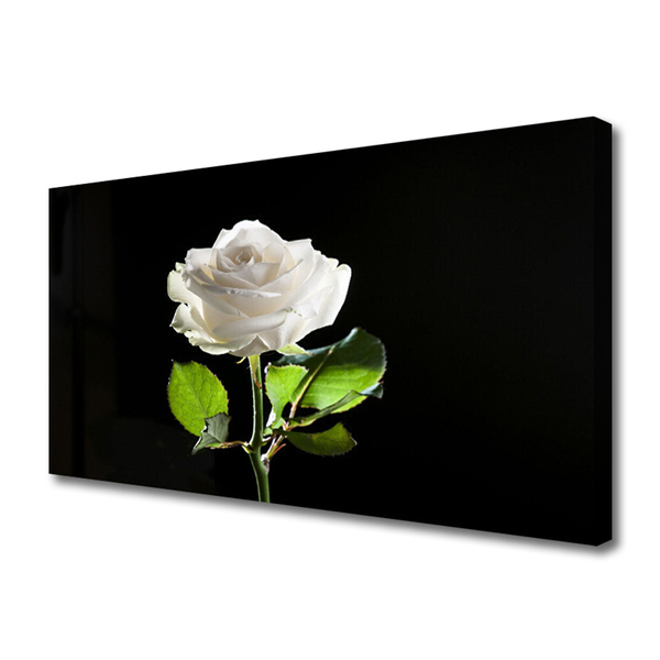 Slika canvas Rose Flower Biljna priroda