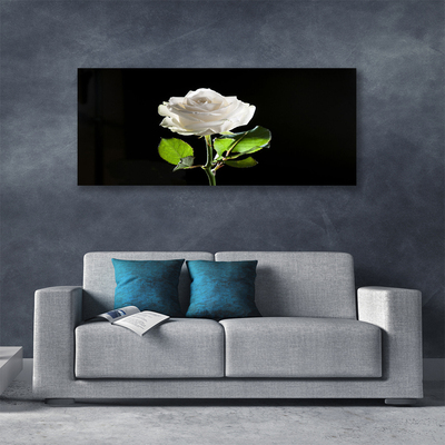 Slika canvas Rose Flower Biljna priroda