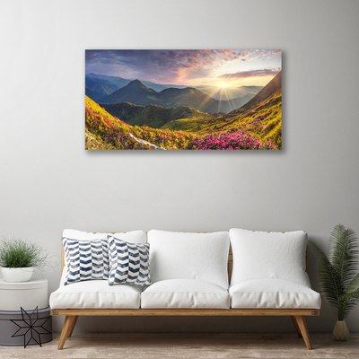 Slika canvas Sunčani krajolik planinske livade