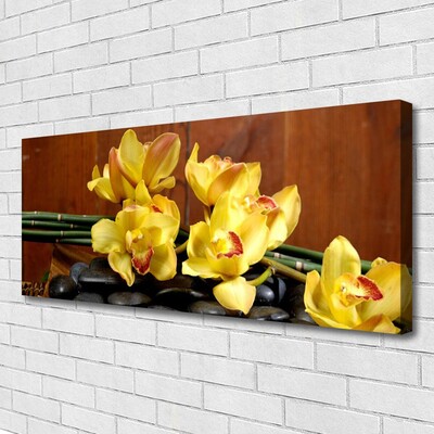 Foto slika na platnu Cvjetna biljka orhideja