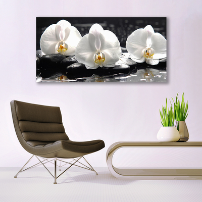 Fotografija na canvas platnu Bijeli cvijet orhideje