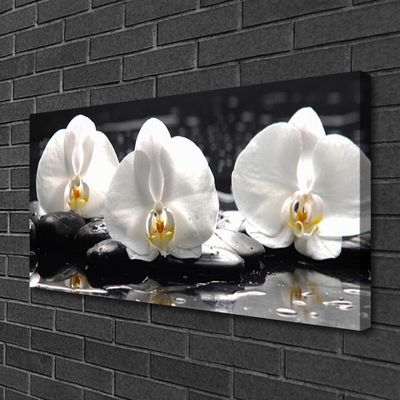 Fotografija na canvas platnu Bijeli cvijet orhideje