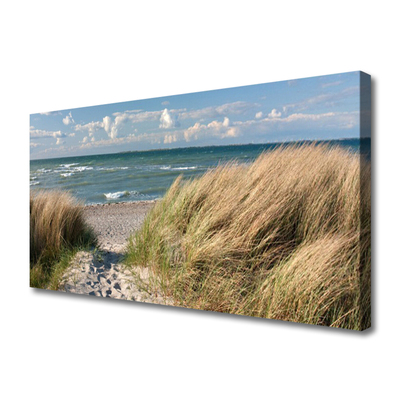 Foto slika na platnu Pejzaž morske trave na plaži