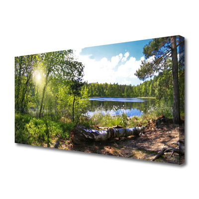 Slika na platnu Šumsko drveće Jezero Priroda