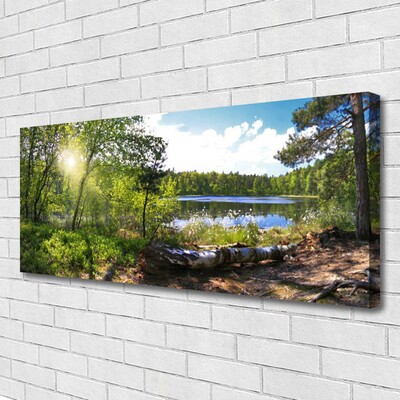 Slika na platnu Šumsko drveće Jezero Priroda